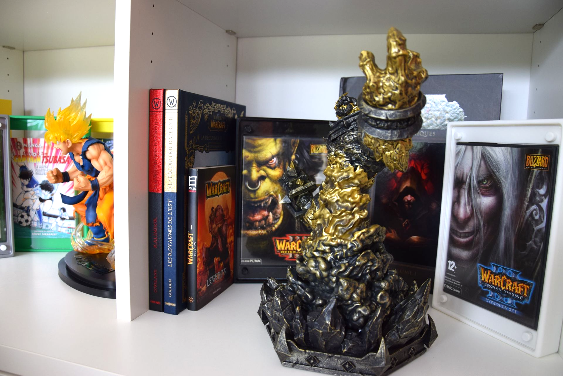 Boîtier / Boîte / Présentoir  avec plaques acrylique pour la protection / conservation / exposition / décoration de manga / livre / DVD / Bluray / Blu-ray / Jeux-vidéo / Jeu-vidéo / Playstation / Xbox / Nintendo / Sega