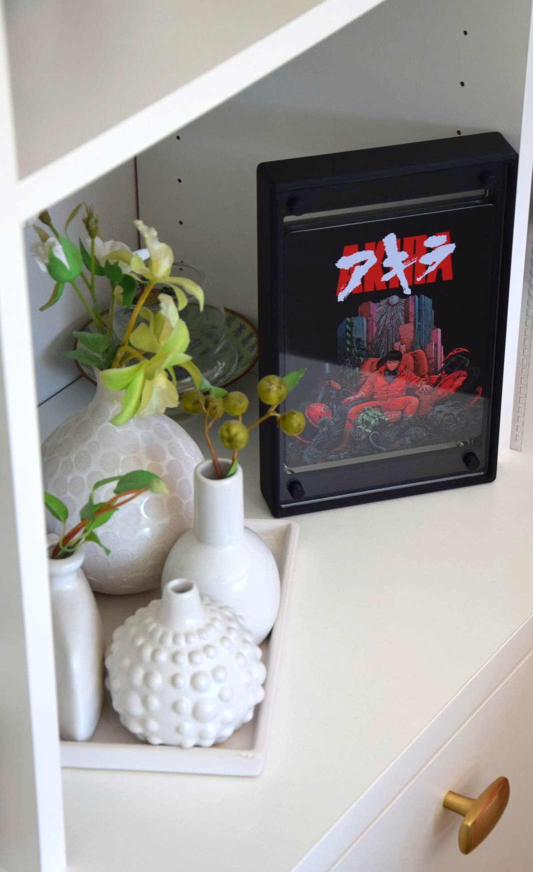 Boîtier / Boîte / Présentoir  avec plaques acrylique pour la protection / conservation / exposition / décoration de manga / livre / DVD / Bluray / Blu-ray / Jeux-vidéo / Jeu-vidéo / Playstation / Xbox / Nintendo / Sega