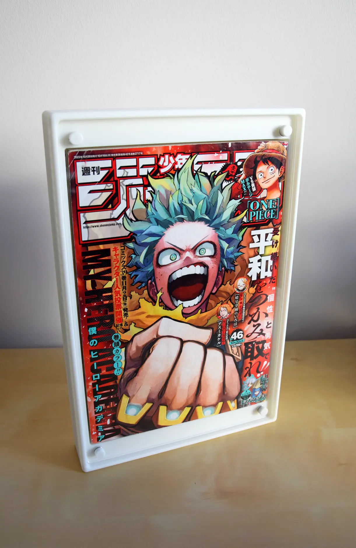 Boîtier / Boîte /Boîtier / Boîte / Présentoir  avec plaques acrylique pour la protection / conservation / exposition / décoration de manga / livre / DVD / Bluray / Blu-ray / Jeux-vidéo / Jeu-vidéo / Playstation / Xbox / Nintendo / Sega