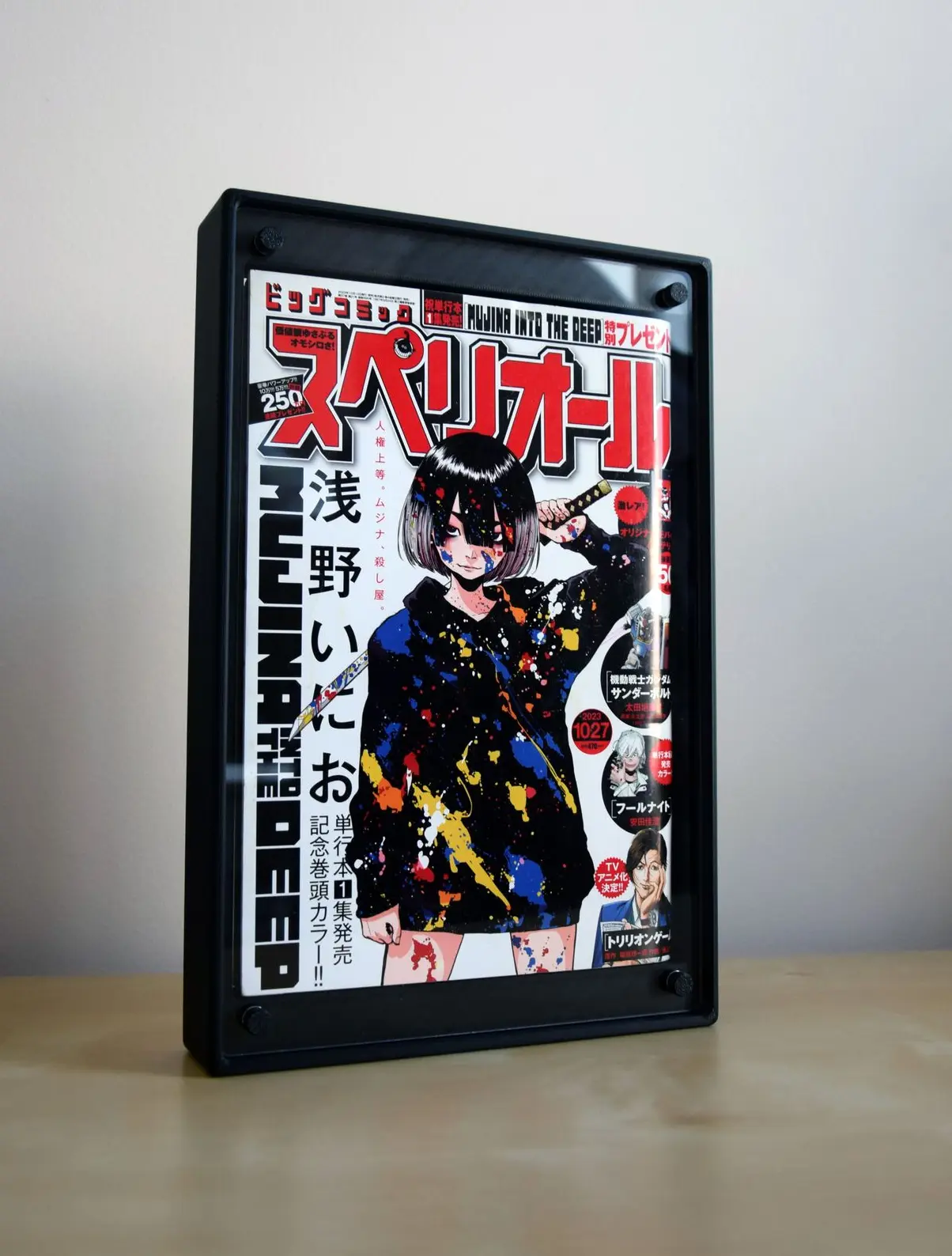 Boîtier / Boîte / Présentoir  avec plaques acrylique pour la protection / conservation / exposition / décoration de manga / livre / DVD / Bluray / Blu-ray / Jeux-vidéo / Jeu-vidéo / Playstation / Xbox / Nintendo / Sega
