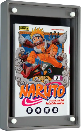 [B-GRIS] Boîtier Anti-UV GRIS